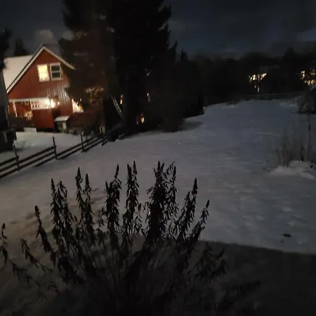 Ferienwohnung Fargerik Retro Enebolig,Parkering Pa Stedet! Trondheim Exterior foto