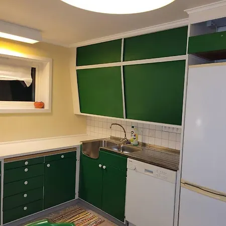 Ferienwohnung Fargerik Retro Enebolig,Parkering Pa Stedet! Trondheim Exterior foto